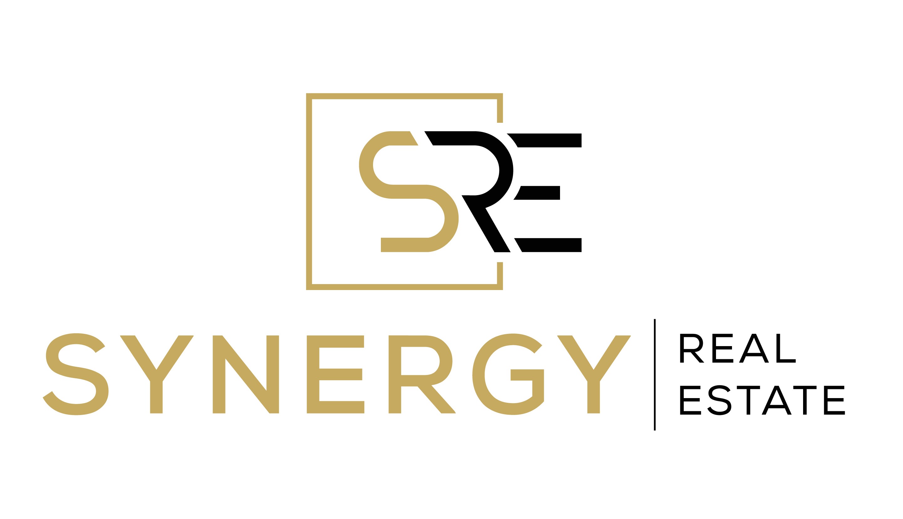 Synergy Real Estate logo